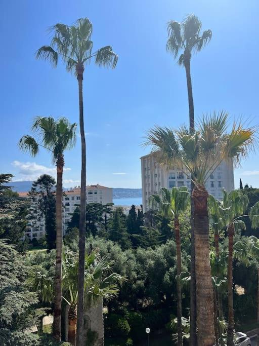 Magnifique Vue Mer Nice